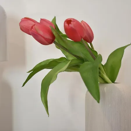 Tenuta Micoli Hotel Frisa