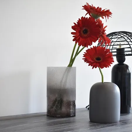 Otel Tenuta Micoli *