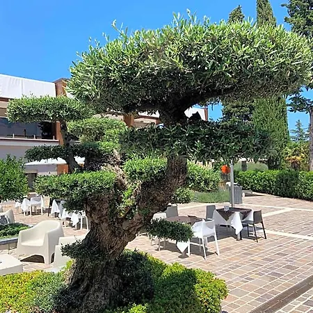 Tenuta Micoli Frisa