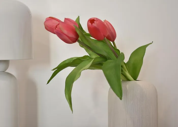 Tenuta Micoli Ξενοδοχείο Frisa