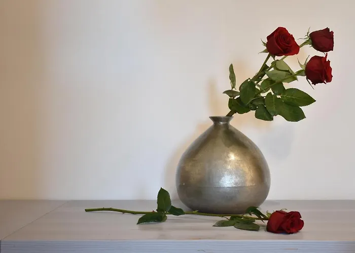 Ξενοδοχείο Tenuta Micoli Frisa